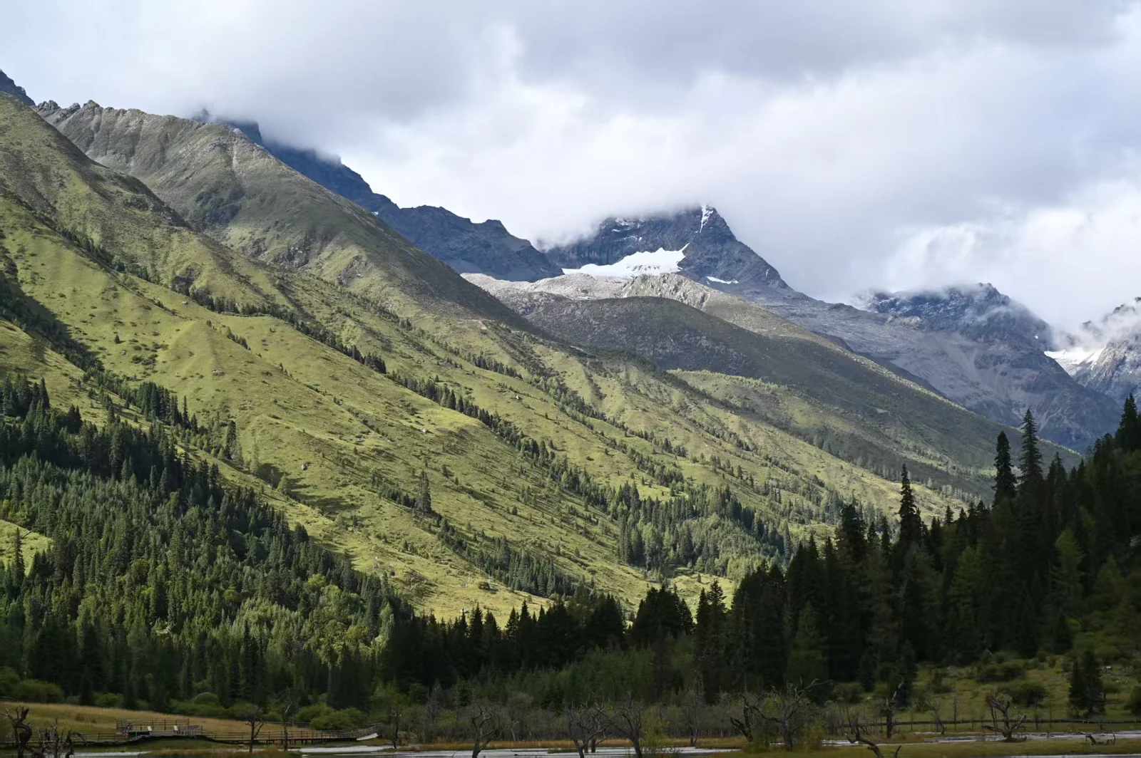 阳光照亮绿色山坡，远处的雪峰隐在云雾中